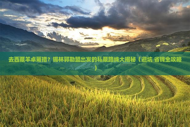 锡林郭勒盟去西藏羊卓雍措个人游