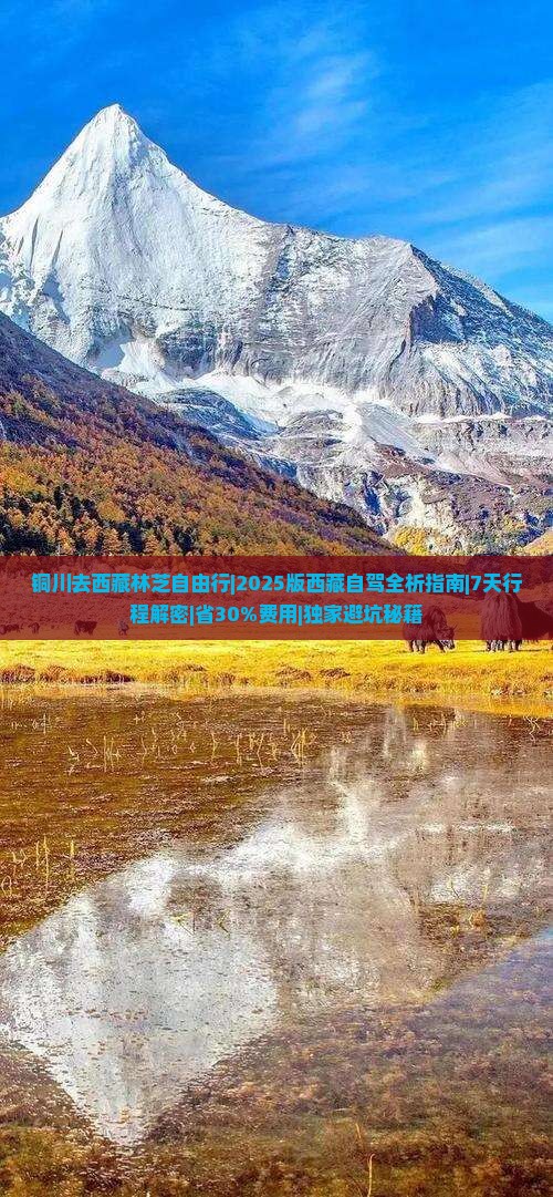 铜川去西藏林芝自由行