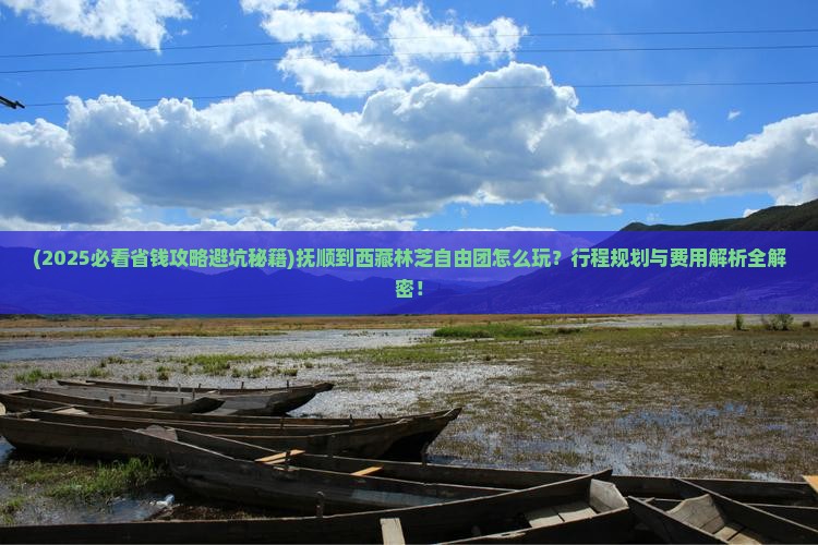 抚顺到西藏林芝自由团