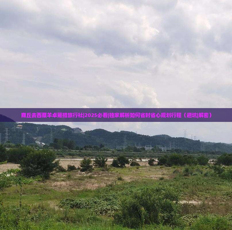 商丘去西藏羊卓雍措旅行社