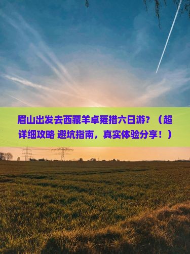 眉山到西藏羊卓雍措六日游