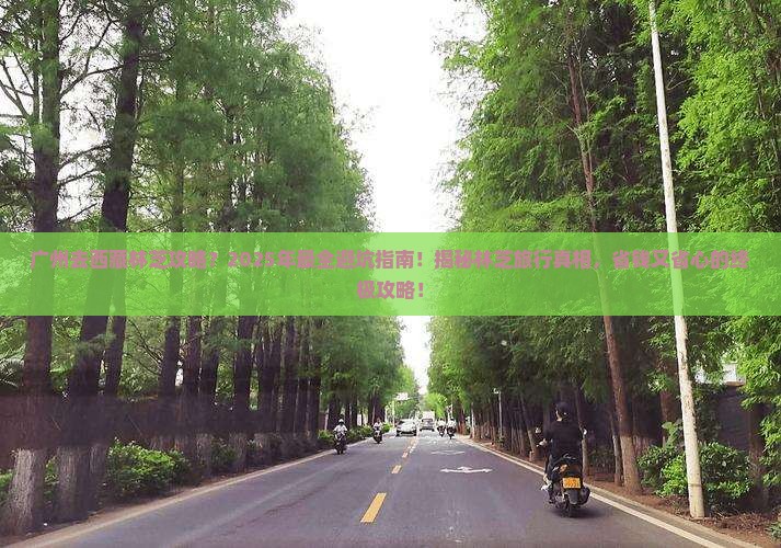 广州去西藏林芝攻略