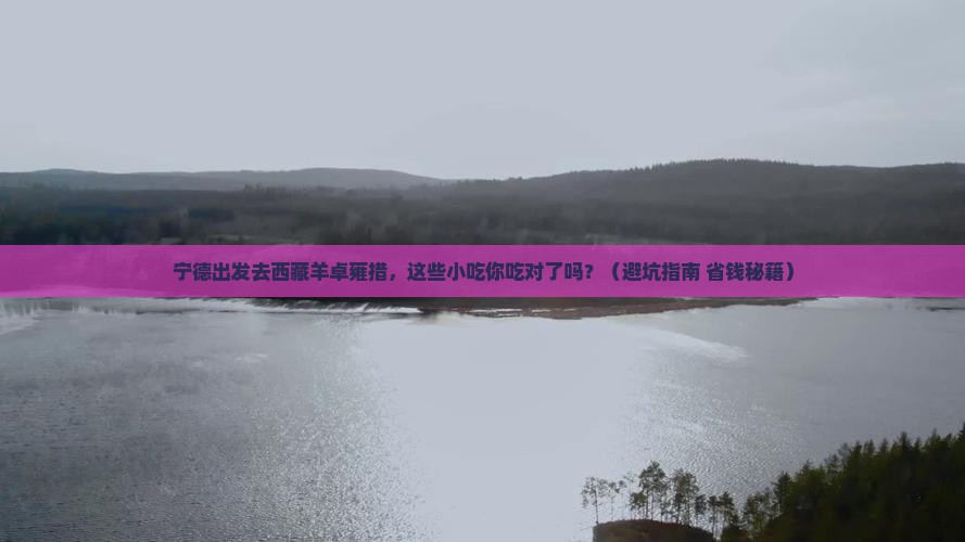 宁德去西藏羊卓雍措旅游小吃