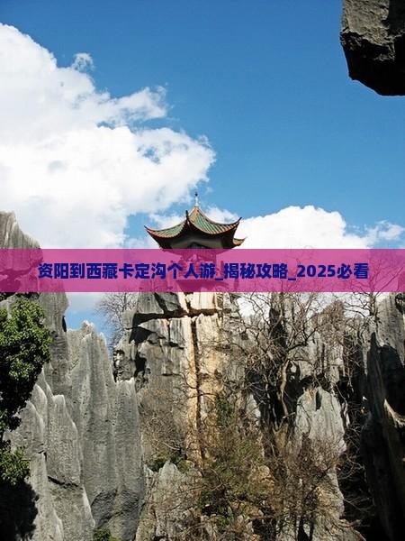 资阳到西藏卡定沟个人游