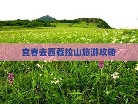 宜春去西藏色季拉山旅游