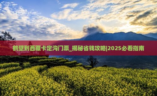 鹤壁到西藏卡定沟门票