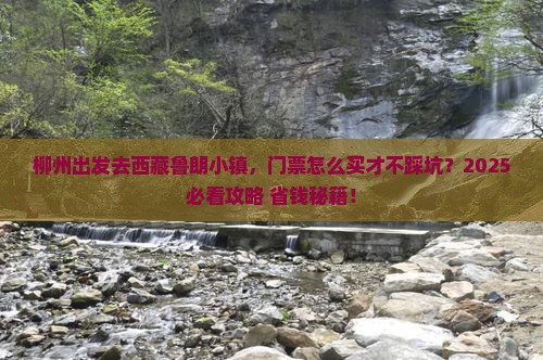 柳州去西藏鲁朗小镇门票