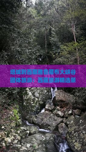 塔城到西藏雅鲁藏布大峡谷团体旅游