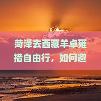 菏泽去西藏羊卓雍措自由行
