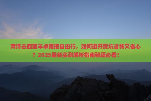 菏泽去西藏羊卓雍措自由行