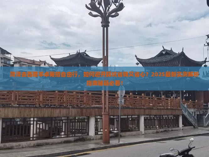 菏泽去西藏羊卓雍措自由行