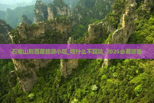 石嘴山到西藏旅游小吃