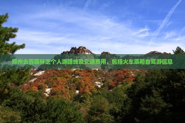 郑州去西藏林芝个人游