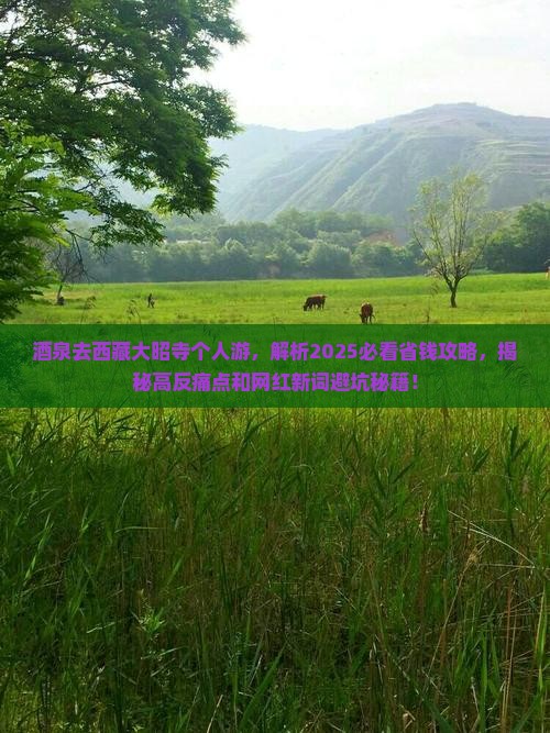 酒泉去西藏大昭寺个人游