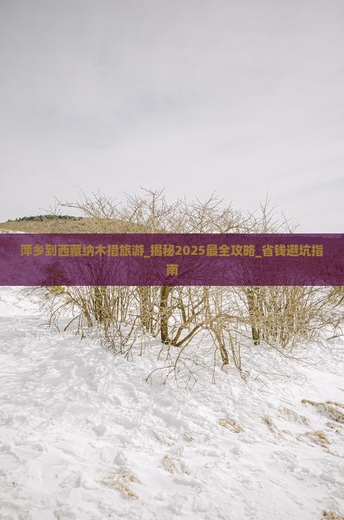 萍乡到西藏纳木措旅游