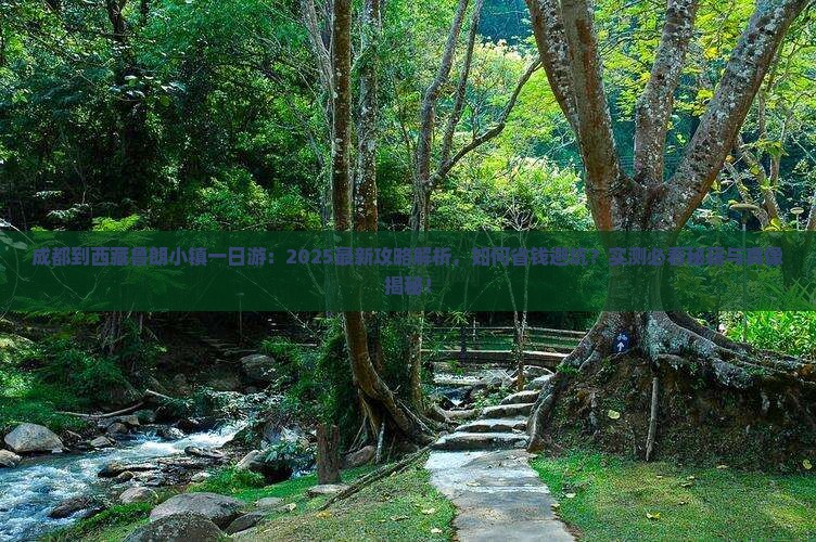 成都到西藏鲁朗小镇一日