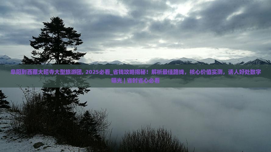 阜阳到西藏大昭寺大型旅游团