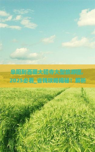 阜阳到西藏大昭寺大型旅游团