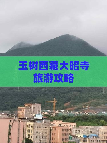 玉树去西藏大昭寺攻略