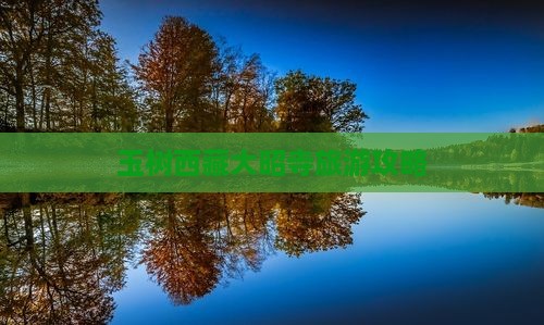 玉树去西藏大昭寺攻略