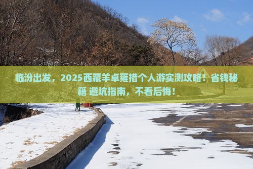 临汾去西藏羊卓雍措个人游
