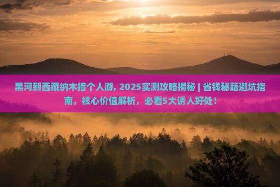 黑河到西藏纳木措个人游