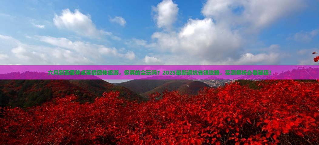 六月到西藏羊卓雍措团体旅游