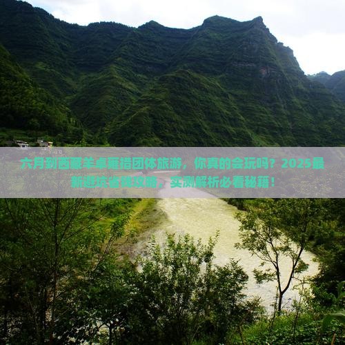六月到西藏羊卓雍措团体旅游
