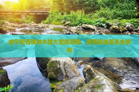 咸宁到西藏纳木措大型旅游团