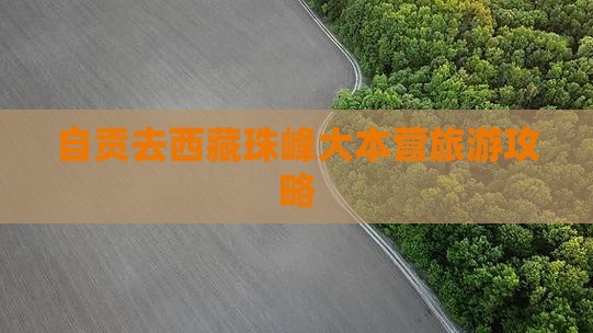 自贡去西藏珠峰大本营团体旅游
