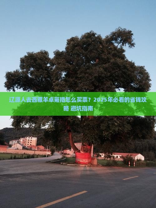辽源去西藏羊卓雍措门票