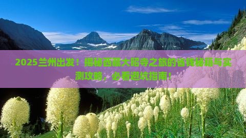 兰州到西藏大昭寺团体旅游