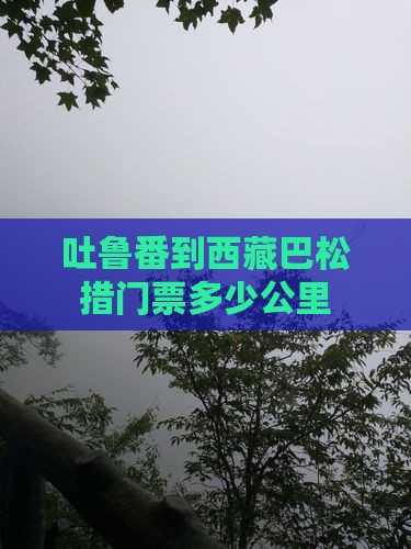 吐鲁番到西藏巴松措门票