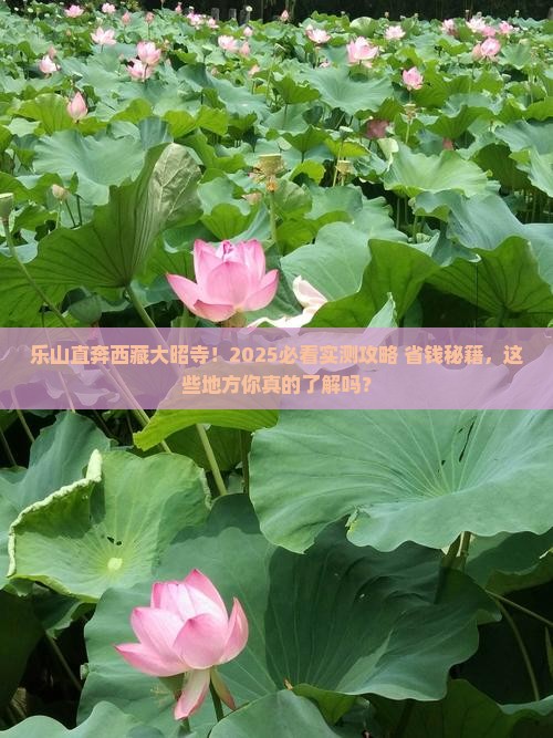 乐山到西藏大昭寺哪里玩