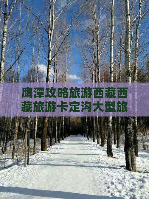鹰潭去西藏卡定沟大型旅游团