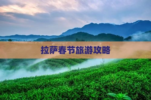 春节去西藏拉萨旅游