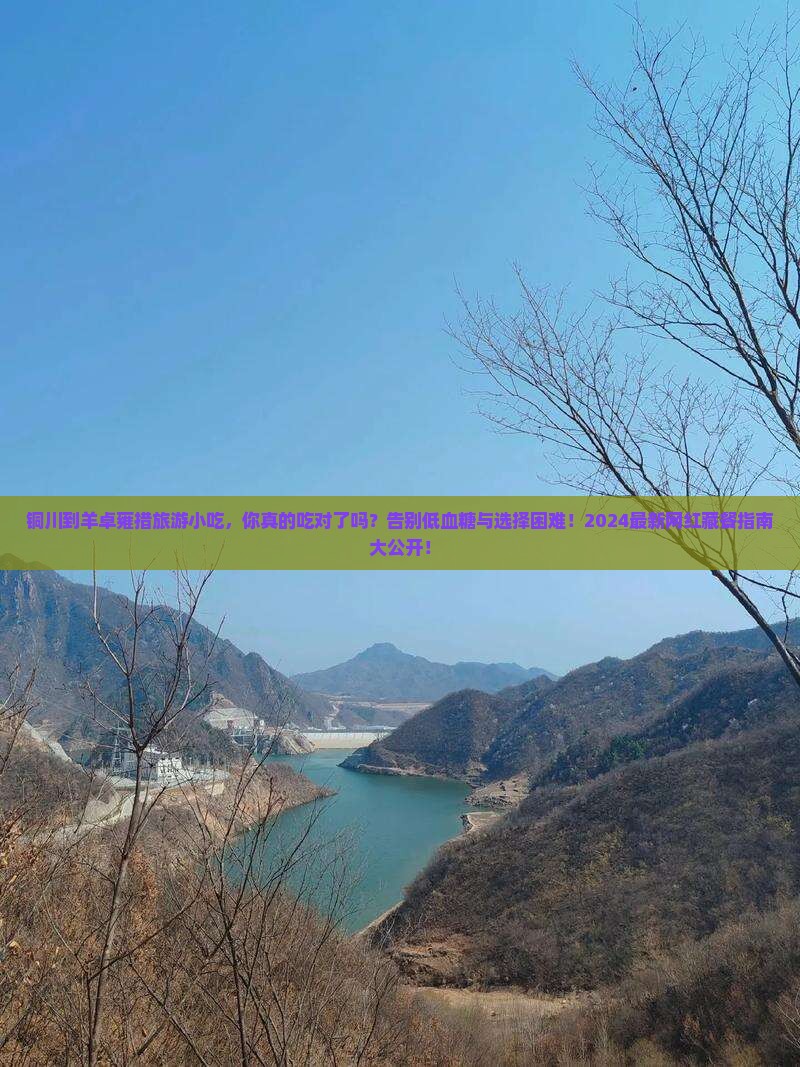 铜川到西藏羊卓雍措旅游小吃