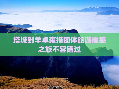 塔城到西藏羊卓雍措团体旅游