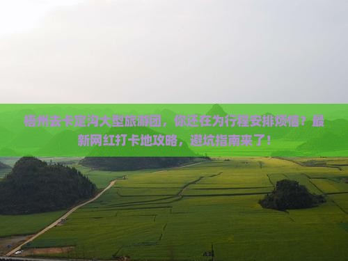 梧州去西藏卡定沟大型旅游团