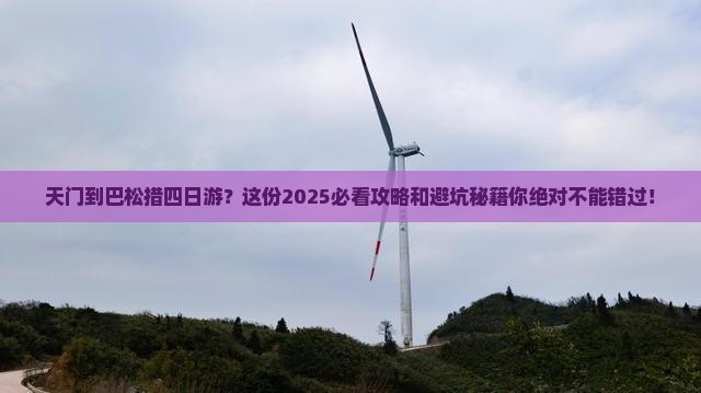 天门到西藏巴松措四日游
