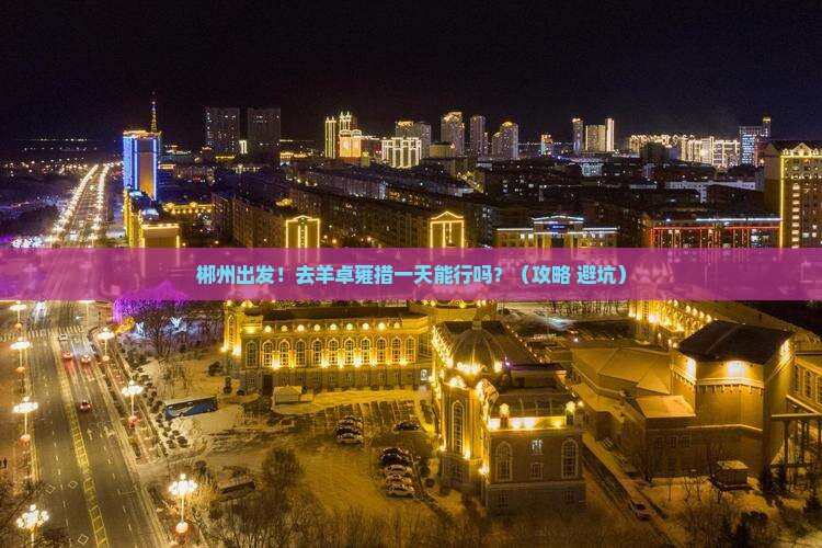 郴州到西藏羊卓雍措一日