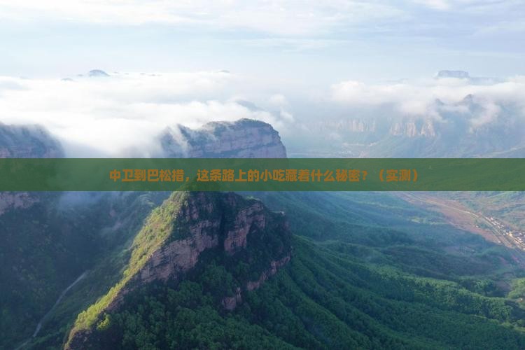 中卫到西藏巴松措旅游小吃