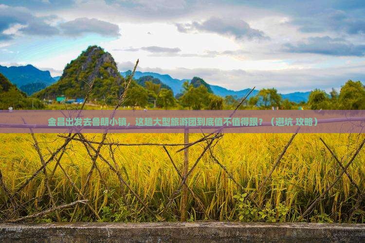 金昌去西藏鲁朗小镇大型旅游团
