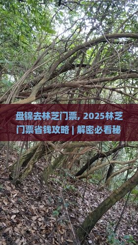 盘锦去西藏林芝门票