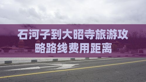 石河子到西藏大昭寺旅游