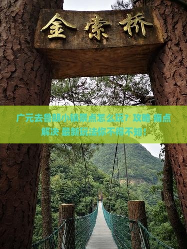 广元去西藏鲁朗小镇景点