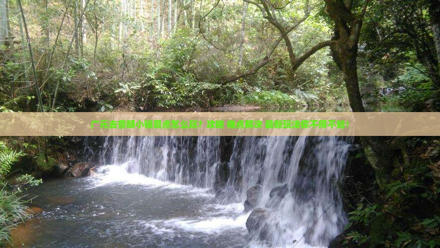 广元去西藏鲁朗小镇景点