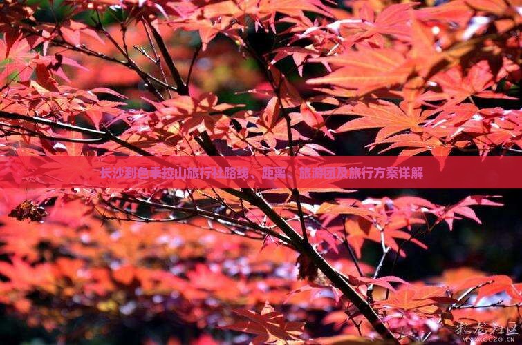 长沙到西藏色季拉山旅行社