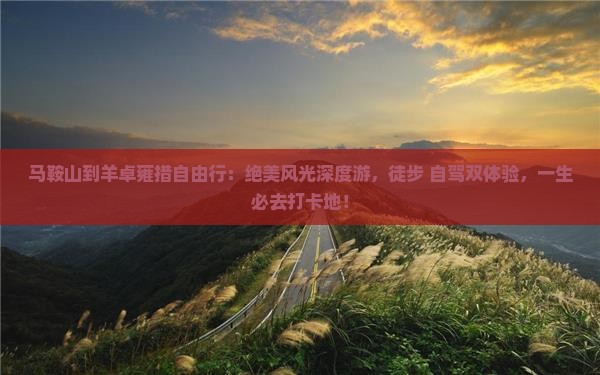 马鞍山到西藏羊卓雍措自由行
