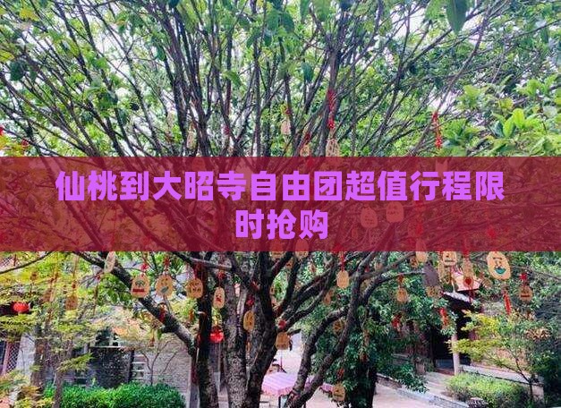 仙桃到西藏大昭寺自由团